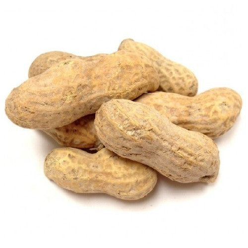 Roasted Peanuts (In Shell)