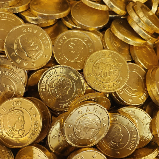 Chocolate Coins. Made in Italy