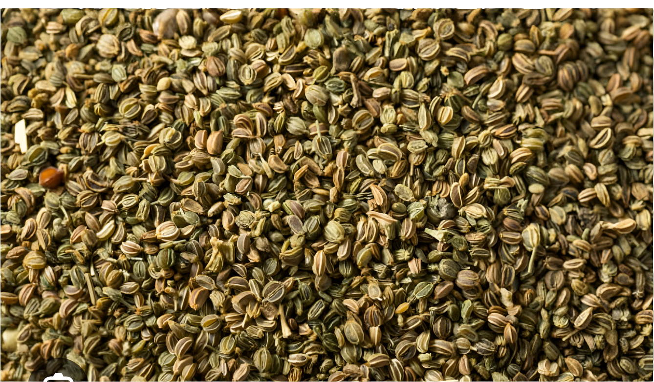 Celery Seed