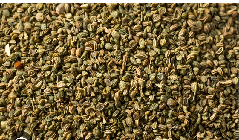 Celery Seed
