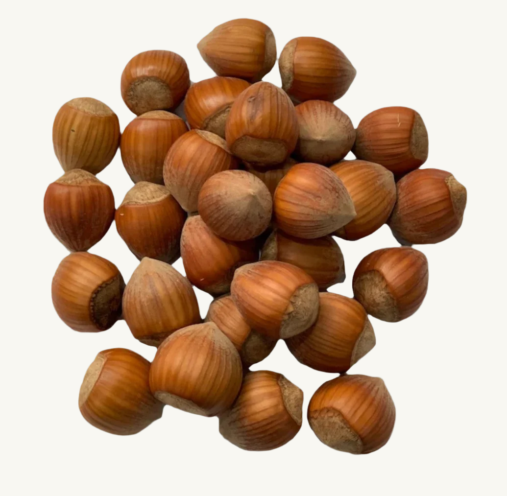 Hazelnuts In Shell Hazelnuts in Shell | Bulk n Bits
