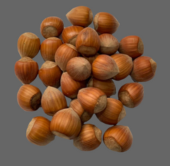 Hazelnuts in Shell