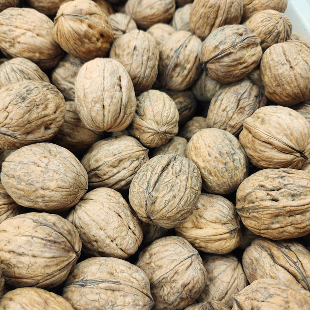 Walnuts in Shell | Bulk n Bits