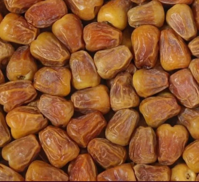 Sukkary Mufattal Saudi Dates from Madina. 850g | Bulk n Bits