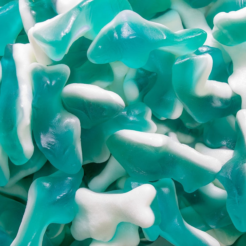 Mini Blue Gummy Sharks